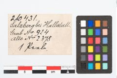 Etikett zu Glasperle (NHMW-PRAE-026431)
